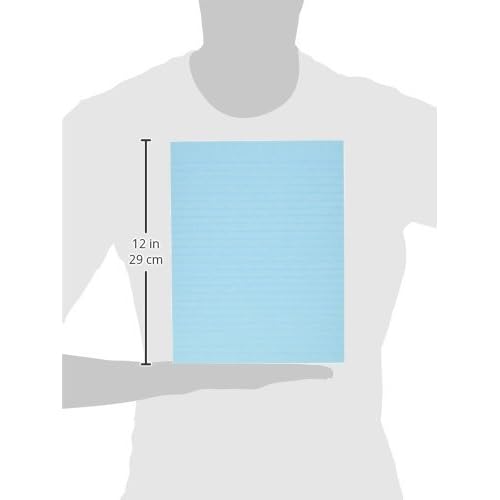 School Smart Ruled Exhibit Paper, 8-1/2 x 11 Inches, Assorted Colors, 500 Sheets - 085454