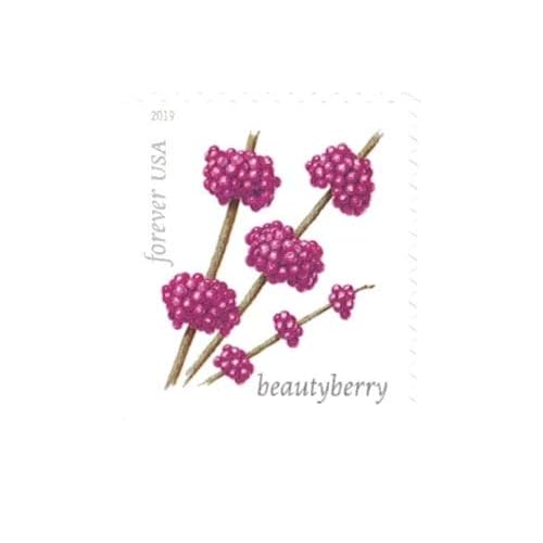 Winter Berries Book of 20 First Class US Postage Stamps Wedding Celebrate Engagement (20 Stamps)