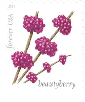 Winter Berries 20 Forever First Class US Postage Stamps - Botanical Design