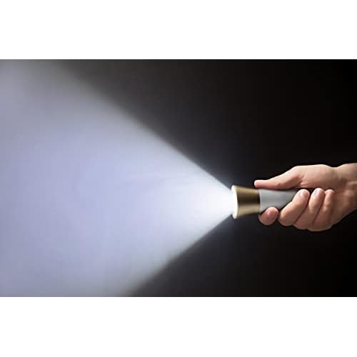 Dimmable LED Desk Light Study Lamp w/Adjustable, Rechargeable & Detachable Head - Home/Dorm/Office Table Lighting for Work, Reading & Studying - White/Gold