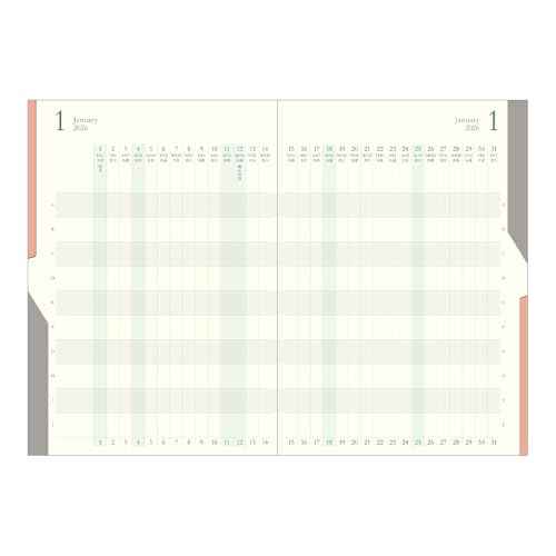 Midori Double Schedule Notebook, 2026, B6, Monthly Limited Edition, Bookmark Included, Progress, Light Pink 22383006 (Starts in October 2025)