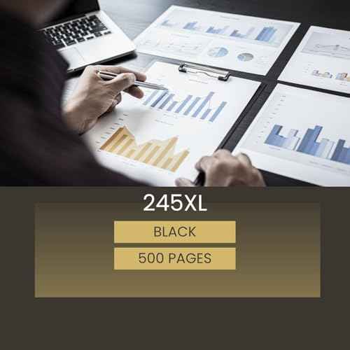 245XL Ink Cartridge Replacement for Canon 245XL Black Ink Compatible with Pixma MX490 MX492 MG2522 MG3022 MG2520 TS3100 TS3122 TS3300 TS3322 TR4522 Printer (2 Pack)