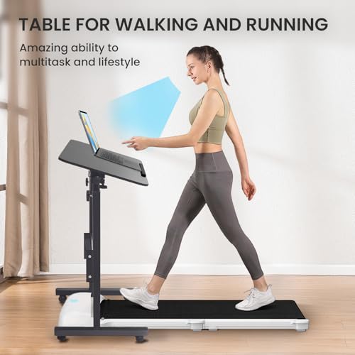 Aconcept Tiltable Small 32 x 16 inch Standing Desk, Black Sit Stand Up Rolling Desk with Wheels, Height Adjustable 25-44" for Tablet Laptop and Walking Pad
