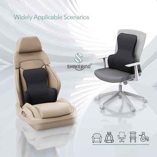 Lumbar Support Pillow for Office Chair ? Back Support for Office Chair with All-Season Memory Foam & Anti-Slip Silicone Base, Lower Back Relief
