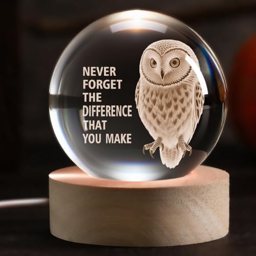 YouerCrystal Owl Gift with Inspirational Quote – 3D Engraved Night Light for Women Men, Thank You Gift