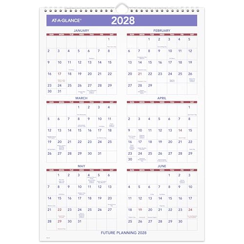 AT-A-GLANCE 2027 Wall Calendar, 12 x 17 Inch Monthly Planner with Ruled Daily Blocks (Variation 2027 / 12"W x 17"H)