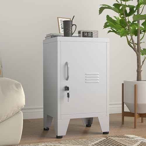 24.4" H Metal Locker Storage Cabinet with 1 Doors, Pantry with Shelves, Storage Cabinet with Adjustable Leveling Foot for Kitchen, Employees, Office, Kids Locker