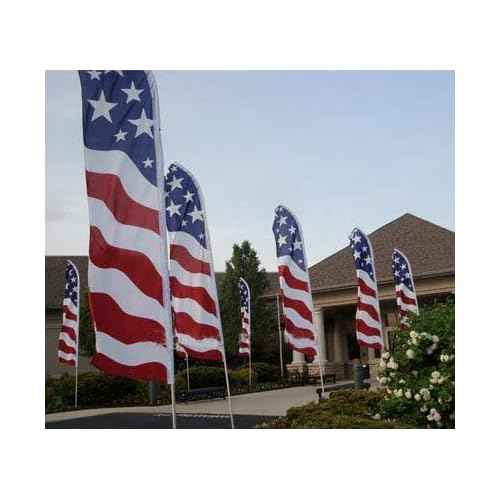 Best Flags - 16ft Advertising Super Flag Pole - Swooper Feather Flutter Banner Pole
