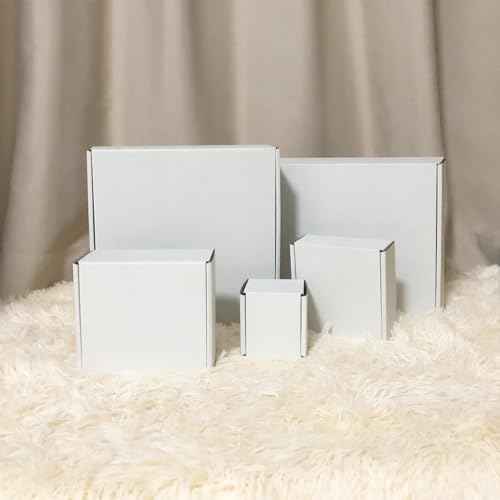 10x10x3 inch Shipping Boxes, White Corrugated Cardboard Box Literature Mailing Shipping Packaging Recyclable Storage Boxes and Craft Gifts Giving Products Business White Box Set of 25 (10''x10''x3'')