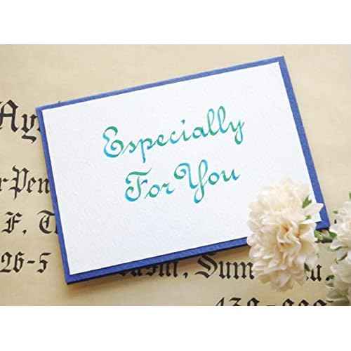 Sailor Fountain Pen HighAce neo Clear Calligraphy Nib Width 1.0mm, 1.5mm, 2.0mm, Included 3 Types Set Included Cartridge Ink Black With Kanji LOVE Sticker