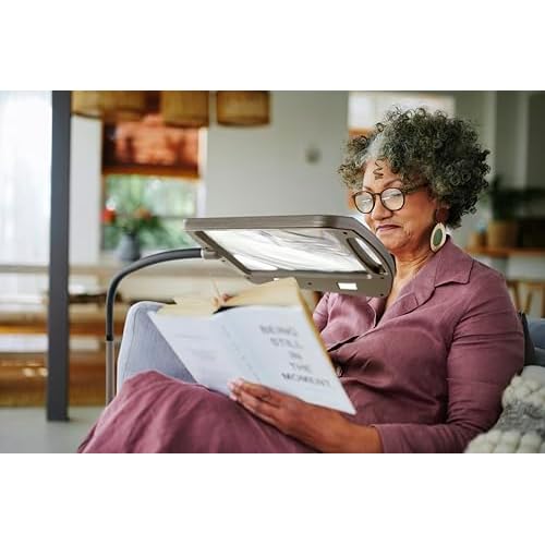 daylight24 402039-55 Full Page 8 x 10 Inch Magnifier LED Illuminated Floor Lamp, Gold