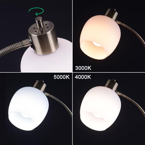 Adjustable Reading Floor Lamp,360¡ÆRotatable Shade,3CCT LED Bulb Include,Red Gooseneck