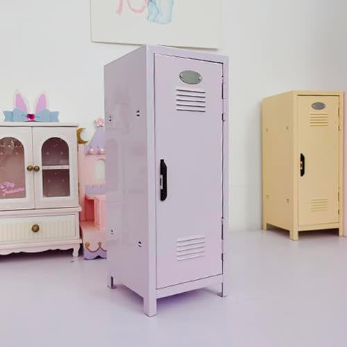 Mini Locker with Lock & Keys, Stickers, Metal Small for Desktop,