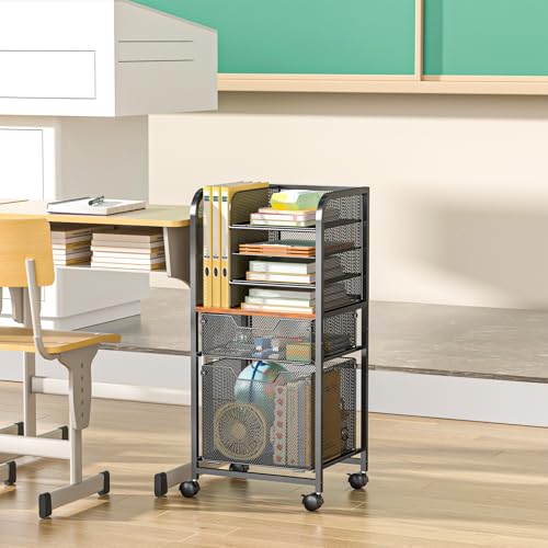 6-Tier Rolling File Cart with 2 Drawers, File Cabinet Organizer for Hanging File Folders, Letter-Size File Storage with Wheels, Multi-Layer Mobile Filing Cabinet for Office and Home