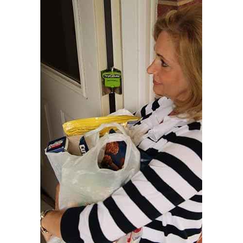 The Original Fat Ivan Fold Up Doorstop Wedge with Magnet - for Moving Office Home or School - Great for Police, Admin, Firefighters and Any time You Need a Door to Stay Open (2, GreenMini)