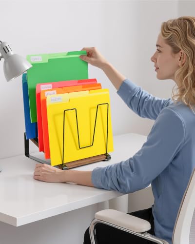 HULISEN Inclined Desk File Organizer - 5-Section Desktop File Holder, Model 1