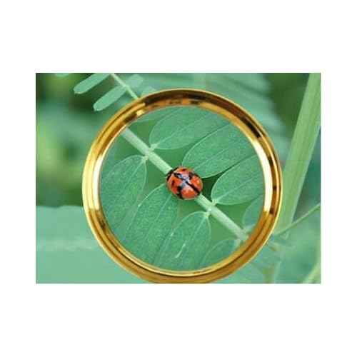 20X HD Magnifying Glass (Full Size-90mm) for Desktop, Collectors, Youth and The Elderly. Free Bonus, (3) Credit Card Sized Magnifiers for Shopping or dosing Medicine ($3.96 Value).