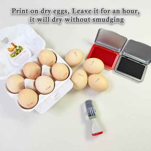 Egg Date Stamp Kit with Ink Pad, Month and Day Stamper for Farm Fresh Eggs Chicken Duck Turkey Goose Poultry Eggs