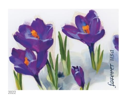 United States Postal Service Snowy Beauty 2022 Forever Postage Stamps - Winter Flowers Collection
