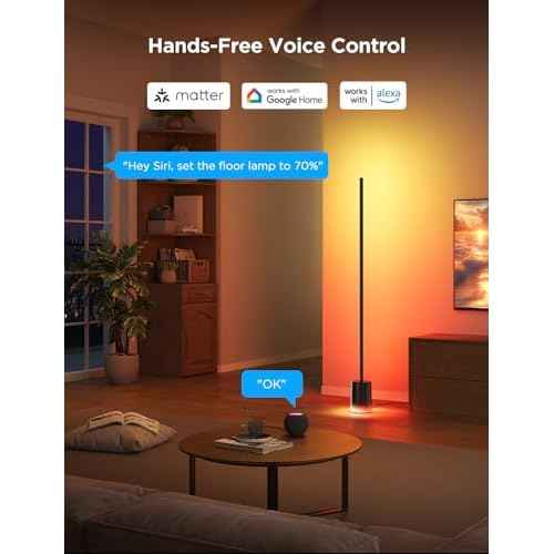 Govee Floor Lamp 2 with Matter, RGBIC, Warm Cool White LED, Alexa Compatible, 1725lm, Music Sync, Scene Modes, Smart Floor Lamp for Living Room, Bedroom, Black(1 Pack)