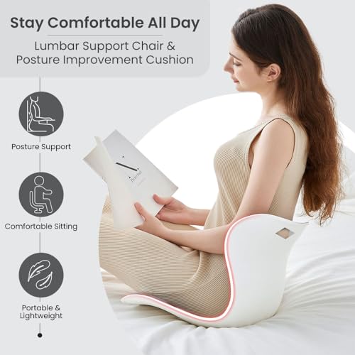 Ergonomic Lumbar Support Cushion, Silver,44.5mm x 410mm x 340mm, Standard Size, for Shoulder and Back Posture, 110-265 lbs Capacity