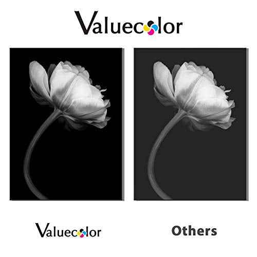 Valuecolor Compatible Toner Cartridge Replacement for Canon 137 crg137 Used in Canon ImageClass MF216N MF227DW MF229DW MF212W MF217W MF249dw MF244dw LBP151dw MF236n MF247dw (2 Black)