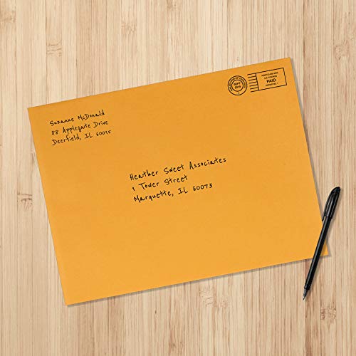 Amazon Basics Kraft Envelopes 9x12 Inches Clasp Mailers 100-Pack