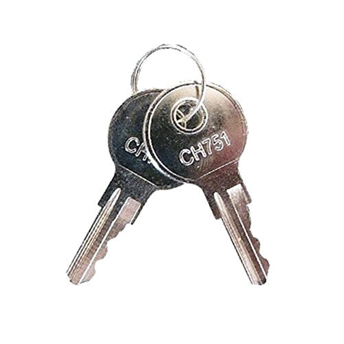 Pyramid Time Systems 41479K Replacement Keys for Time Clocks – 2 Pack