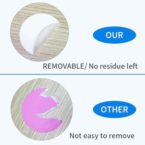 2 Inch Removable Stickers Large Colored Dot Stickers Big Waterproof Round Circle Labels Easy Peel Off for Boxes £¬240 PCS
