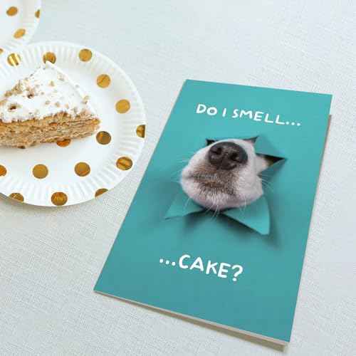 Funny Dog Birthday Cake Card, Cute Birthday Card from Dogs, Humor Dog Peeking Through Card, Do I Smell... Cake?