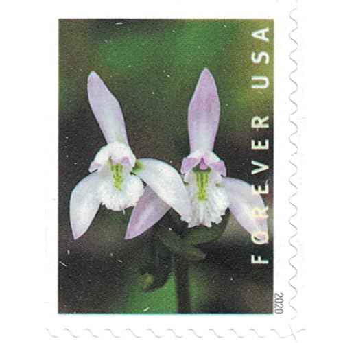 Wild Orchids Flowers (Booklet of 20) First-Class Mail Forever Postage Stamps 2020 Scott 5445-5454