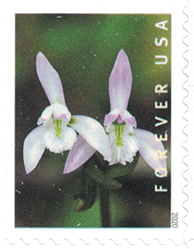 Wild Orchids Forever Postage Stamps Booklet of 20 - US Postal Service