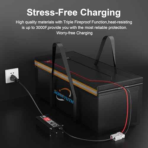 12V 200Ah LiFePO4 Lithium Battery Fireproof Safe Bag, Large Capacity Explosion-proof Lipo Battery Bag for Charging and Storage, Waterproof Box for Documents and Valuables - 22¡¿9¡¿9.5in