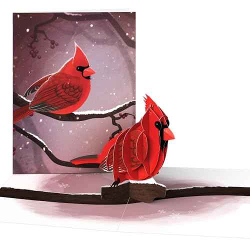 Lovepop Winter Bird Box Set (Assorted 12-Pack) Pop-Up Card for Her and Him - 3D Holiday Greeting Cards for Boys, Girls, Men, Women - 4.5" x 5.9" Paperpop Card - Envelope Included