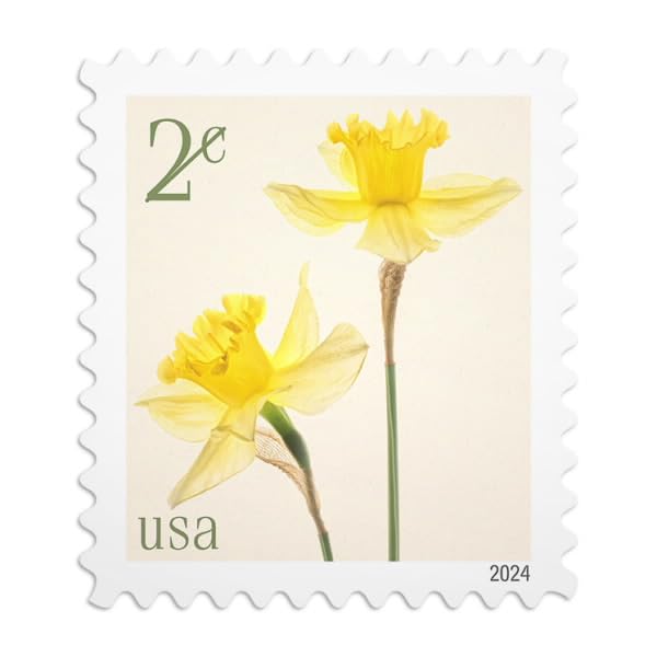 USPS Daffodils 2024 2-Cent Definitive Postage Stamps - 20 Sheet