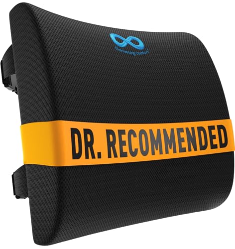 Everlasting Comfort Lumbar Support Pillow for Office Chair & Car - Black Mesh