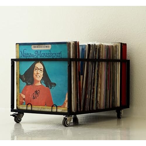 Mobile Vinyl Record Storage Rack with Welded Mesh Bottom ? Holds Up to 120 LPs, Sturdy Metal Frame, Modern Design, Portable LP Organizer, LP Holder