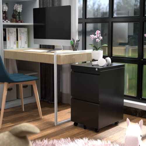 METAN 2 Drawer File Cabinet with Lock, Mobile Under Desk Filing Cabinet for Office Legal/Letter Size, Fully Assembled Except Wheels,Black