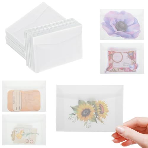 60 Pack Self-Sealing Vellum Envelopes for Seeds Coins & Gifts, 2.75x3.94 Inches