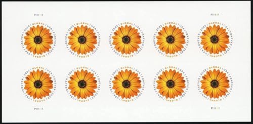 2022 US Postal Service African Daisy International Postage Stamp Sheet (10 Stamps)