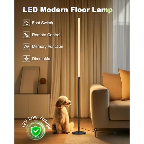 Minimalist Corner Floor Lamp - 3000K-6000K LED Linear Standing Lamp - Dimmable Modern Floor Lamp with Remote & Foot Switch for Living Room, Bedroom -12W (Black)