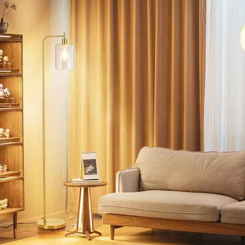 Litake Industrial Floor Lamp- Gold, Dimmable Modern Standing Lamp with Clear Glass Shade, Gold Tall Lamp with Remote & Foot Control, LED Bright Corner Lamp with 6W Bulb for Living Room Bedroom Office