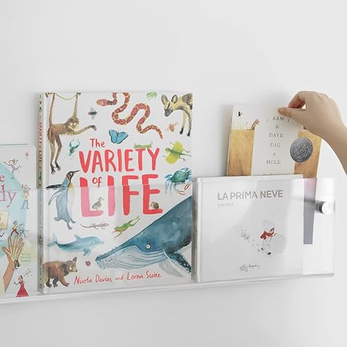 ROYALITA 2-Pack Acrylic Magazine Holder Brochure Holder, 17" Record Holder Magazine Rack, Fashion Hanging Bookshelf Literature Storage Rack for Waiting Room, Living Room, Office, Clear 17 Inch