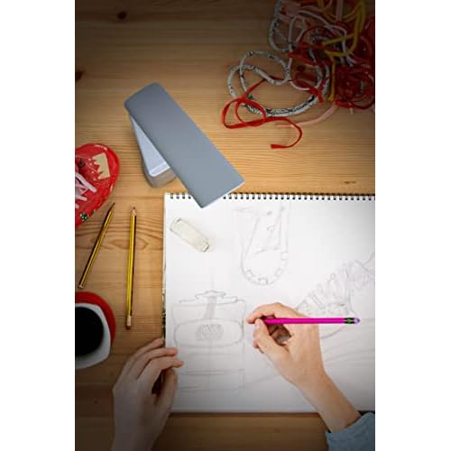 daylight Smart Go Portable Ideal for Reading, Light Therapy, Everyday Tasks, Crafts, Desk Work, DIY, Led, Chargeable lamp, 1 Count (Pack of 1), White