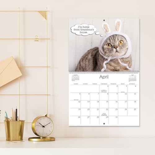 Current 2026 Cattitudes Cat Wall Calendar, 12-Inch x 9-Inch Size Closed, 18-Inch Size Open, Large Bookstore-Quality, Spiral-Bound Hanging Monthly Wall Calendars for Kitchen & Office