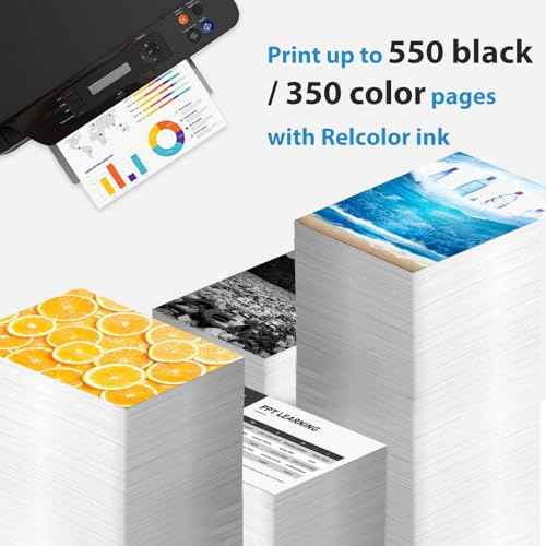 Relcolor Compatible Ink Cartridge Replacement for Canon 245XL (Black 2 Pack) 245 PG245 Work for MX490 MG2522 MX492 TR4520 TR4500 MG2520 TS3300 TS3322 MG2525 TR4522 TS3100 TS3122 TS3320 MG2500 TS3100