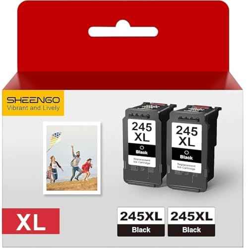 245XL Ink Cartridge Replacement for Canon 245XL Black Ink PG-245XL 245 XL PG-243 243XL for Pixma TR4520 TR4527 MX492 MX490 MG2522 MG2525 MG2920 TS202 TS302 TS3320 TS3322 MG2420 IP2820 (2 Black)