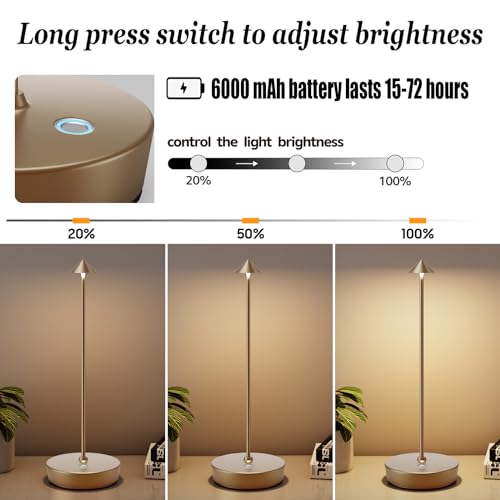 2Pack Rechargeable Cordless Table Lamp, Portable Powered LED Battery 6000mAh Metal USB Desk Lamp, 3 Levels Brightness Light for Restaurants Outdoor (2pack Titanium)