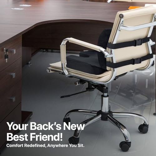 Ergonomic Memory Foam Lumbar & Seat Cushion Back,Tailbone Pain Relief