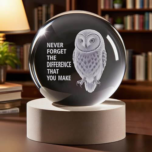 YouerCrystal Owl Gift with Inspirational Quote – 3D Engraved Night Light for Women Men, Thank You Gift